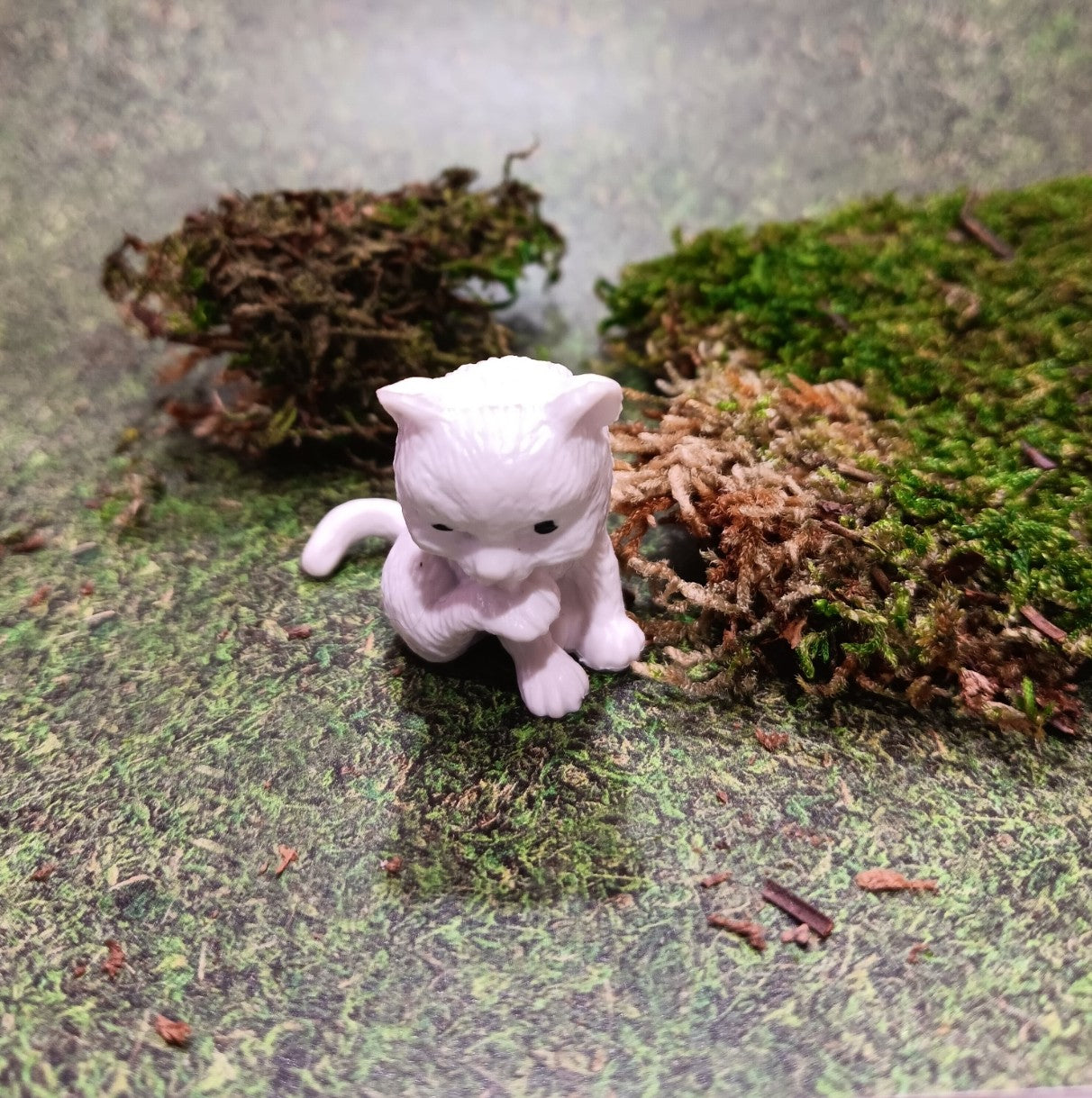Little White Kitty Cleaning her Back Paw
