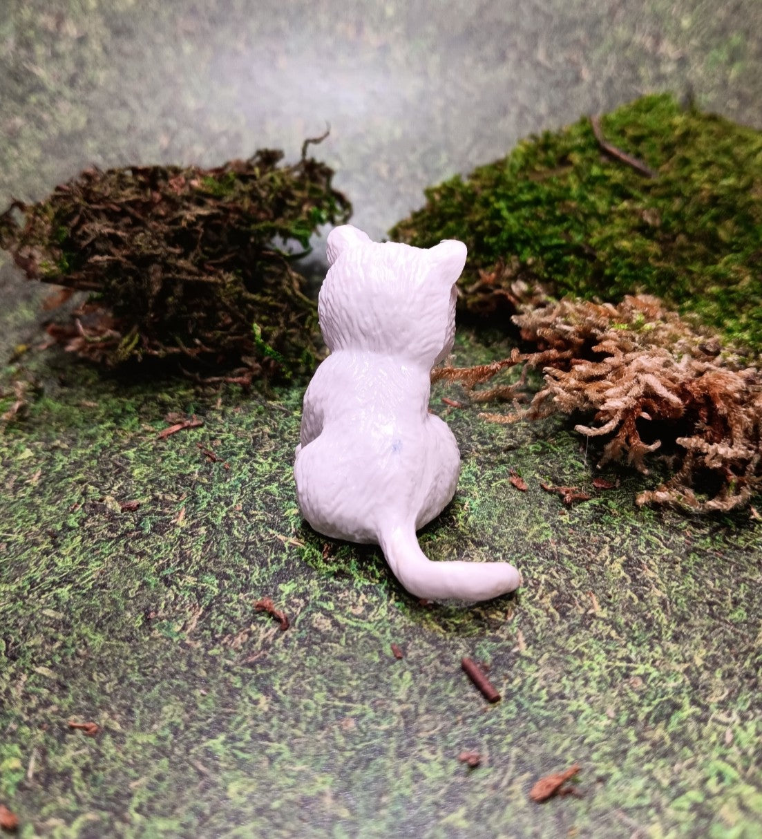 Little White Kitty Cleaning her Back Paw