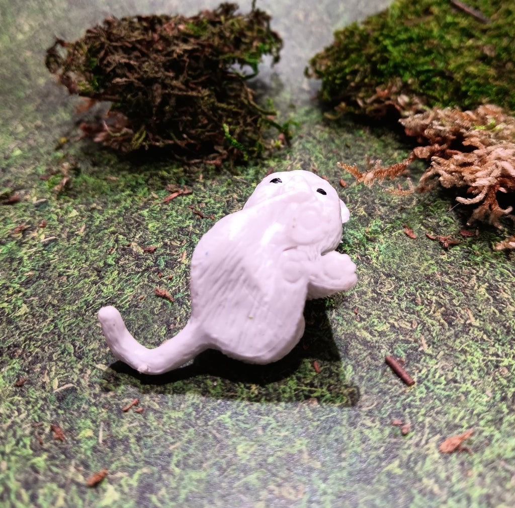 Little White Kitty Cleaning her Back Paw