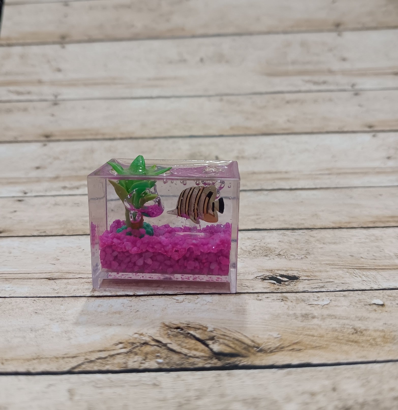 Miniverse Lifestyles Butterfly Fish in Aquarium