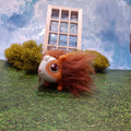 Auburn baby Guinea Pig for Little Live Pets Mama Surprise (Copy)