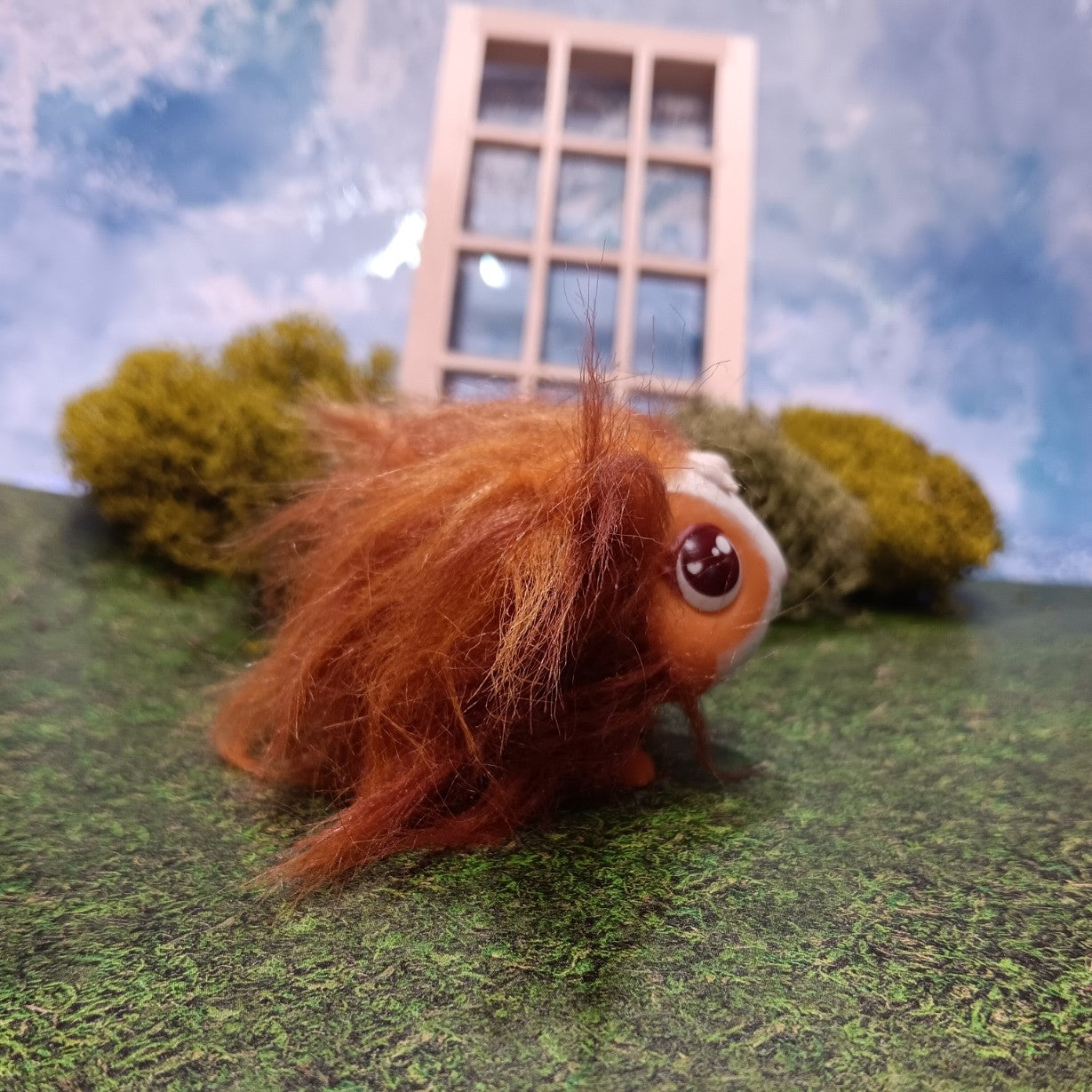Auburn baby Guinea Pig for Little Live Pets Mama Surprise (Copy)