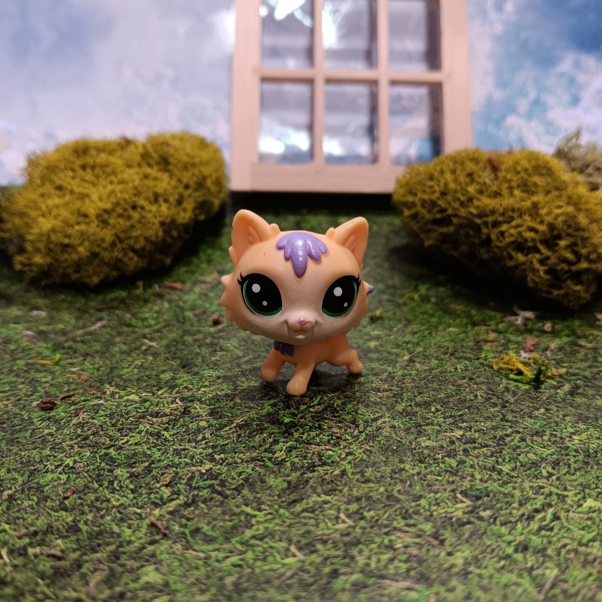 LPS Littlest Pet Shop Amber Kittyson Cat