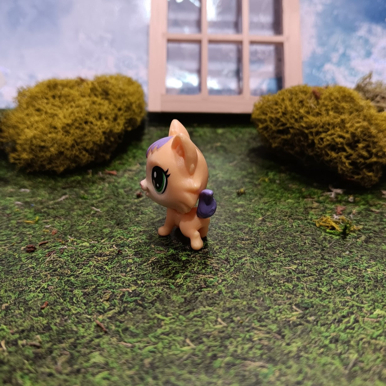 LPS Littlest Pet Shop Amber Kittyson Cat