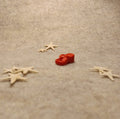Vintage 1999 Barbie Fashion Favorites Red Flip Flop