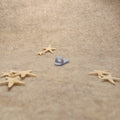 Small flat blue sandal for Skipper